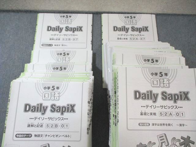 SAPIX 小5 サピックス デイリー/サマー 国語 通年セット 【計84