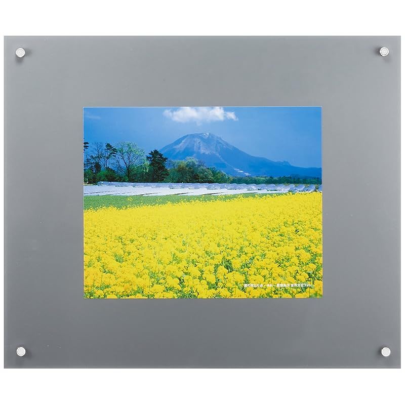FUJICOLOR 額縁 プロフレーム 特寸フリーS 特殊サイズ アクリル シルバー