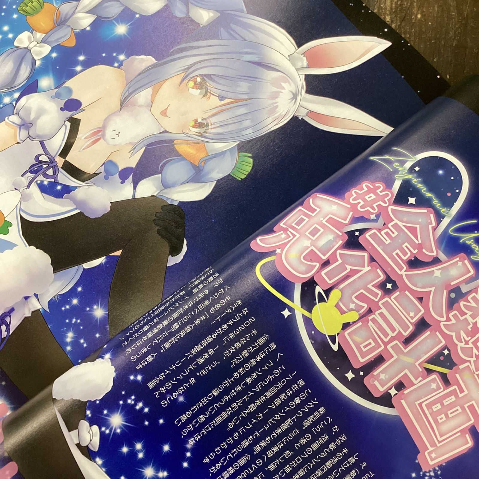 コンプティーク2023年2月号 抽選特典 兎田ぺこら 発売中】雑誌 コンプティーク 2023年2月号／兎田ぺこら特集：1月