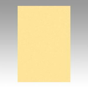 クーポン配布中-スーパー 対象 まとめ 色画用紙 文運堂 ニューカラーＲ コイクリーム 8NCR-122 4954022681227 1冊 ×10セット