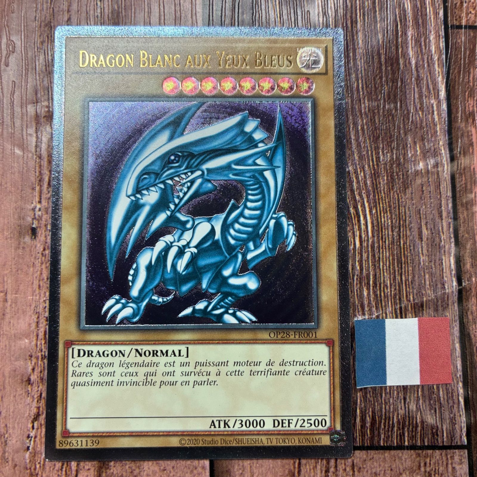 遊戯王 フランス版 EU版 青眼の白龍 OTS28 レリーフ