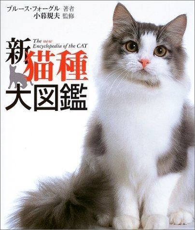 Internet Profit Secrets Mr.X 菅野一勢 平秀信 【公式通販】