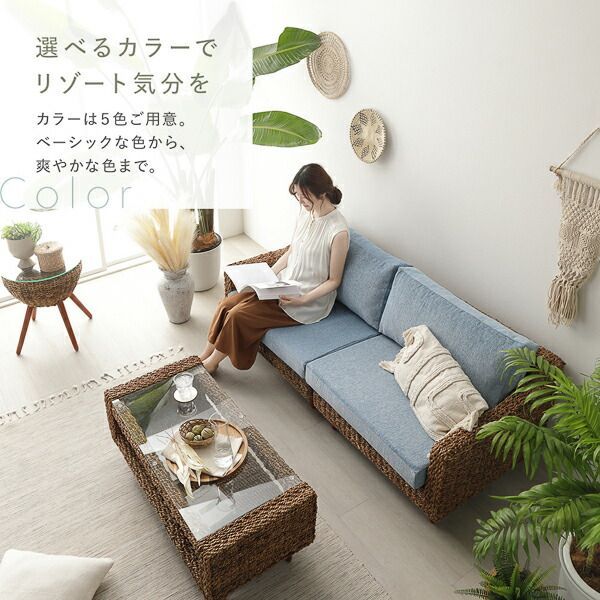 アバカ 2人掛け ソファ 専用 替えカバー 単品 ブラウン 洗える 洗濯 