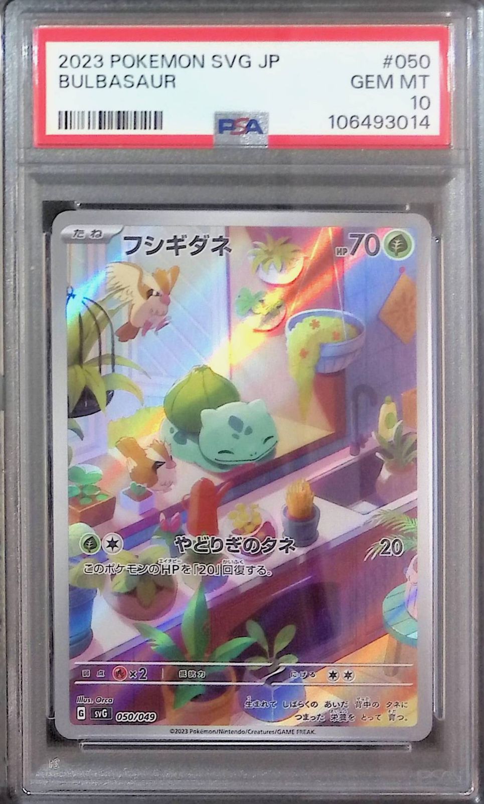 050/049/SVG/AR フシギダネ PSA10 106493014 スペシャルデッキ