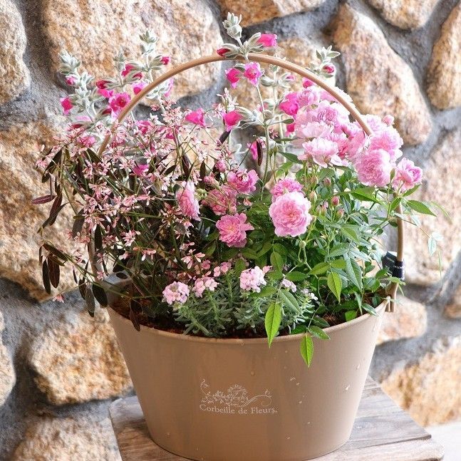 ♡ Descubre las Nuevas Motocicletas en Induwara Motors | TikTok