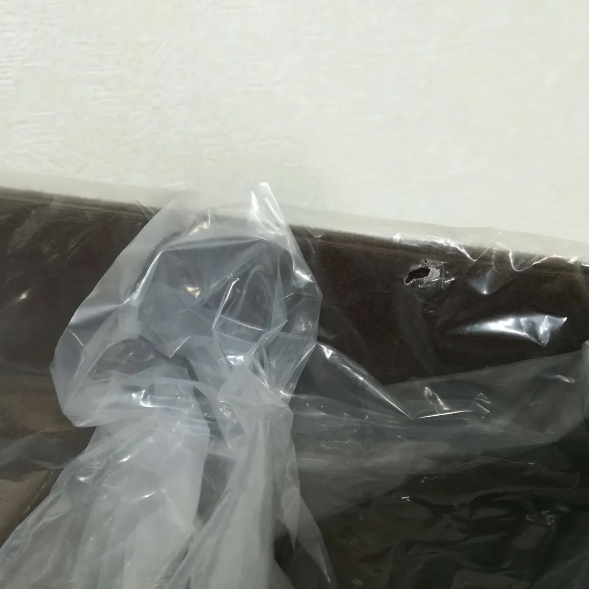 ネコタ コーナー