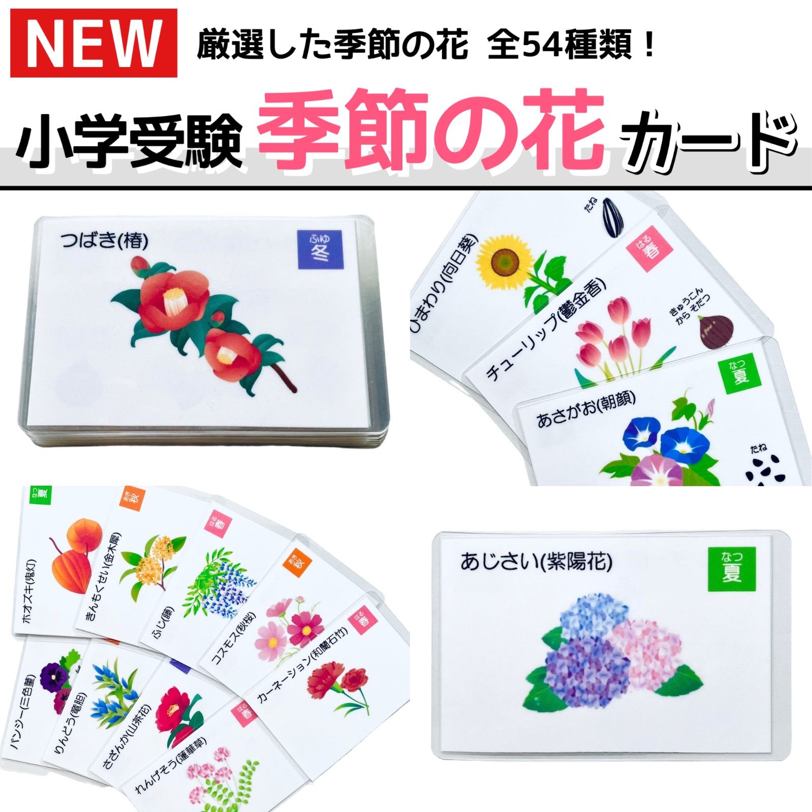 季節の花カード 小学校受験教材 理科的常識 幼児教育 知育 きせつ