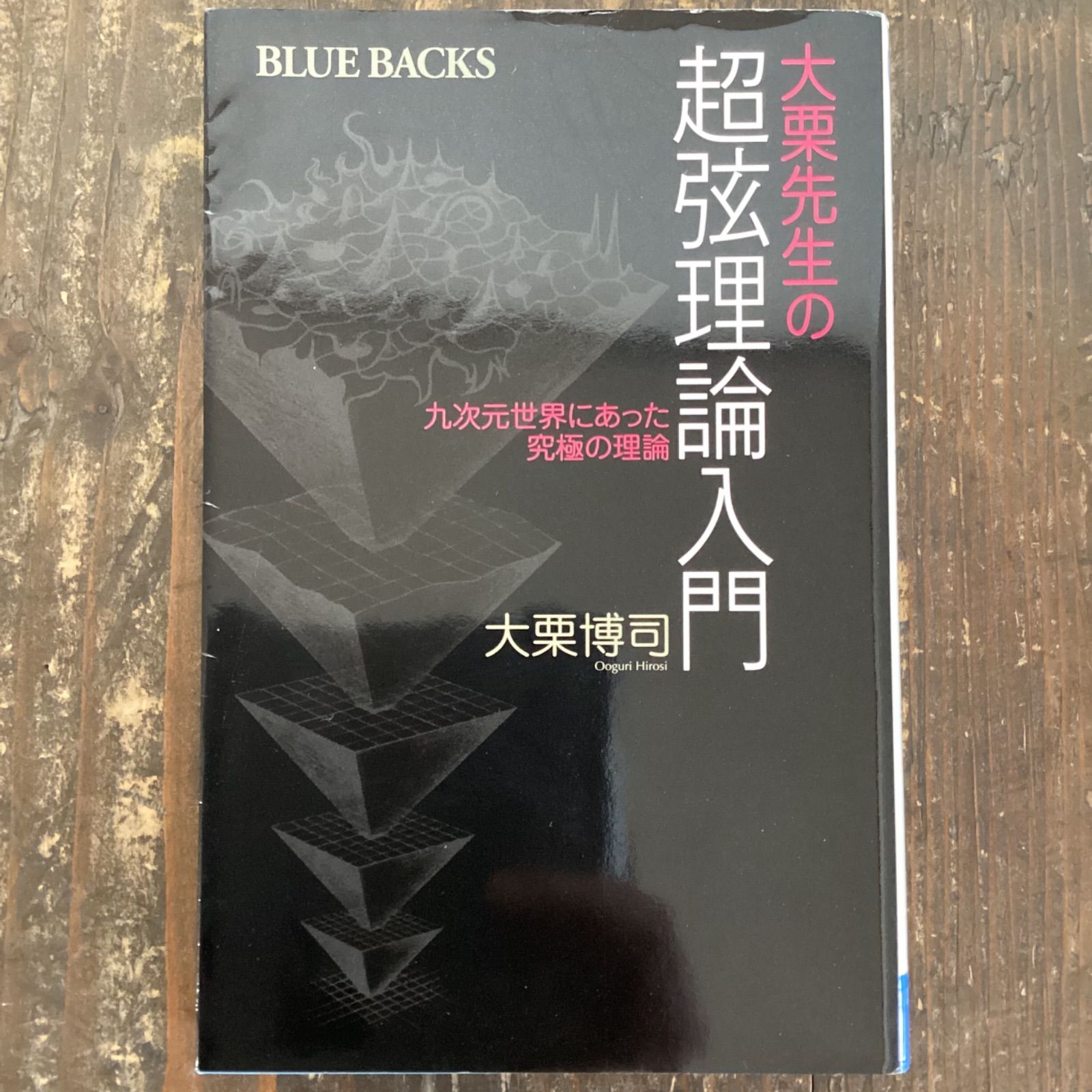 大栗先生の超弦理論入門 九次元世界にあった究極の理論 b16_4724