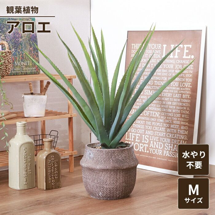 げ 人工観葉植物 フェイクグリーン 観葉植物 アロエ M セメントポット 卓上 インテリアガーデン 手入れ不要 おしゃれ 人工植物