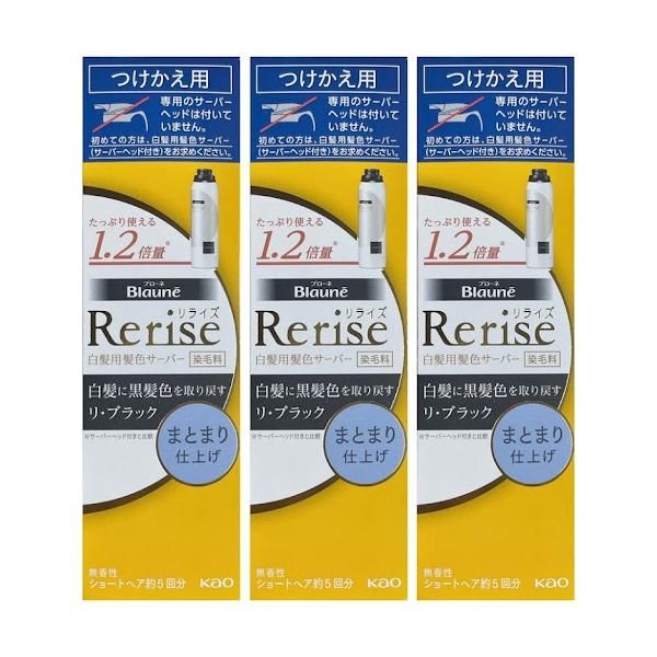 リライズ 白髪用髪色サーバー リ ブラック まとまり仕上げ 付け替え 190g 3個セット