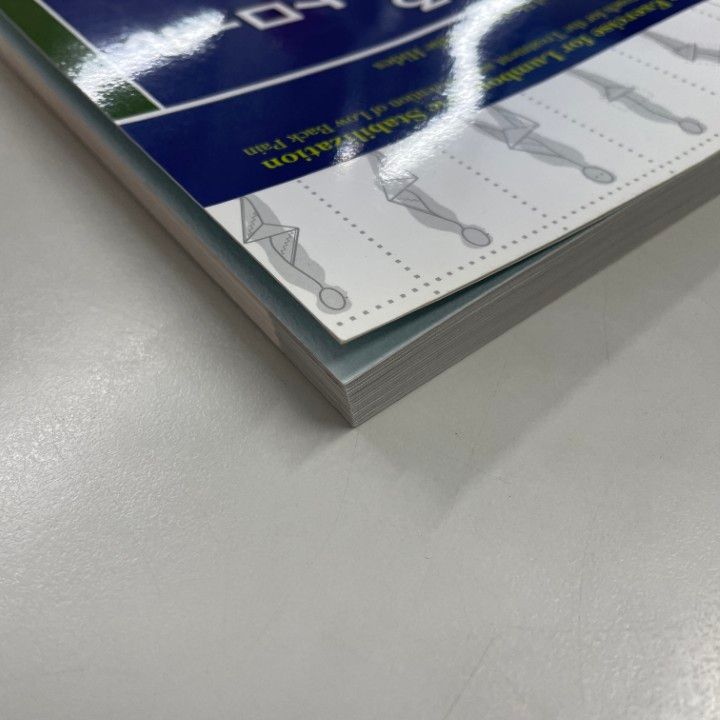 腰痛に対するモ-タ-コントロ-ルアプロ-チ 腰椎骨盤の安定性のための運動療法  /医学書院/キャロリン・リチャ-ドソン（単行本） ○01)【同梱不可】腰痛に対するモーターコントロールアプローチ