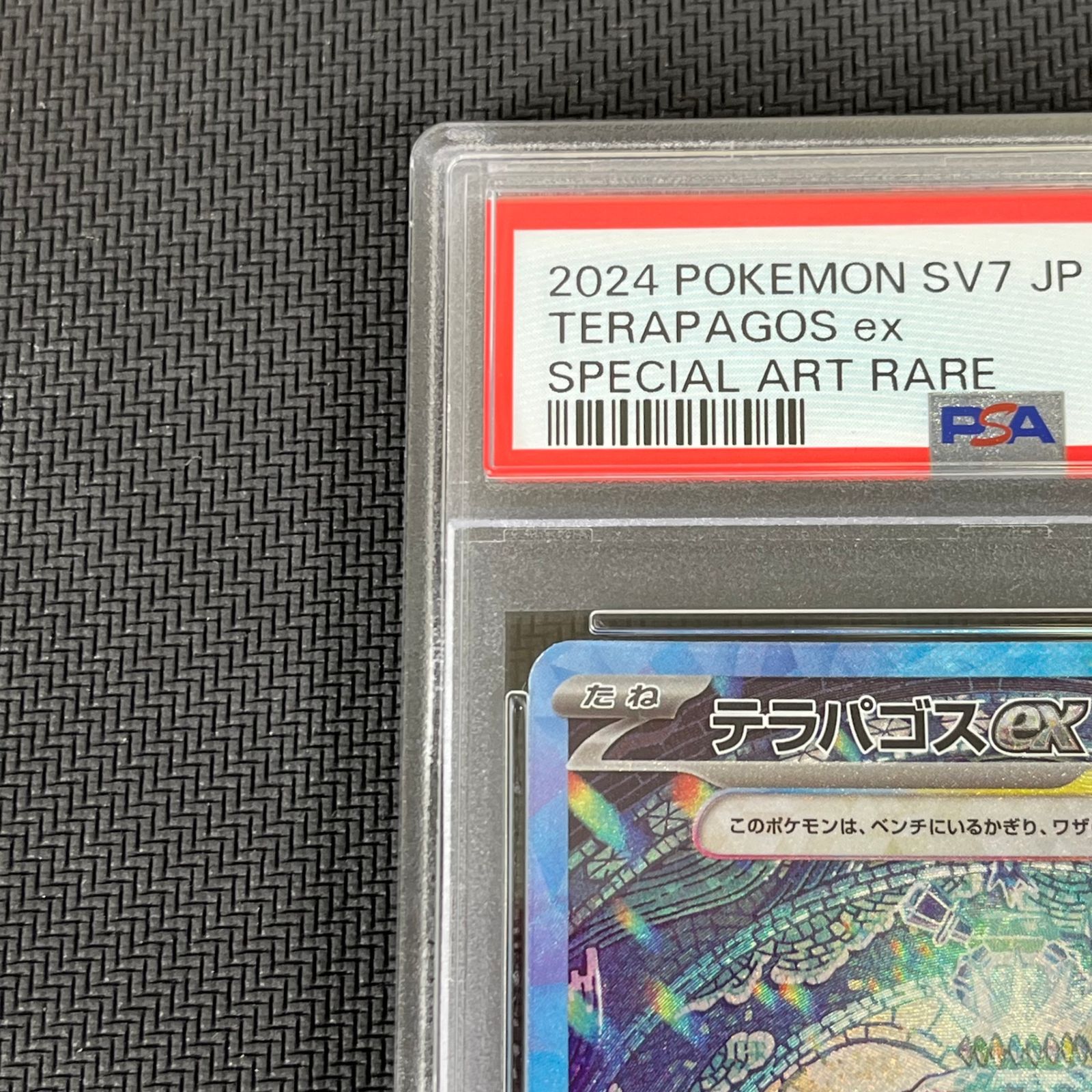 テラパゴス　SAR PSA10 テラパゴスex sar psa10 ポケモンカード - メルカリ