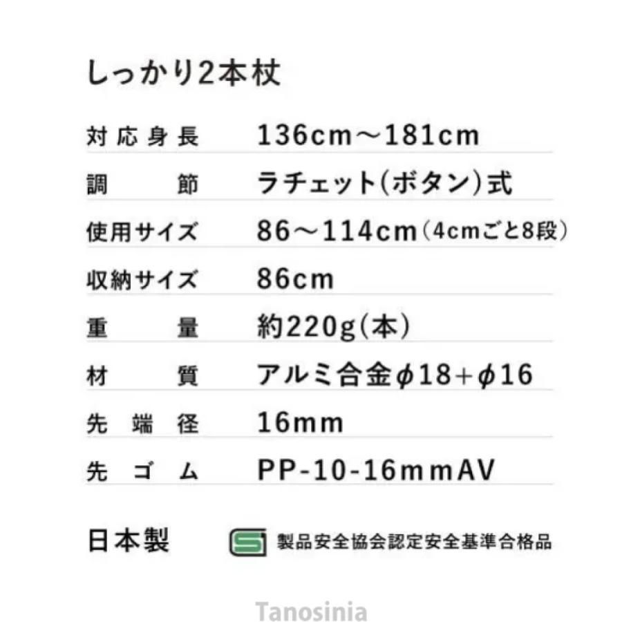 SIANO しっかり2本杖
