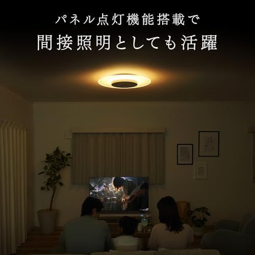 パネルライト 8畳