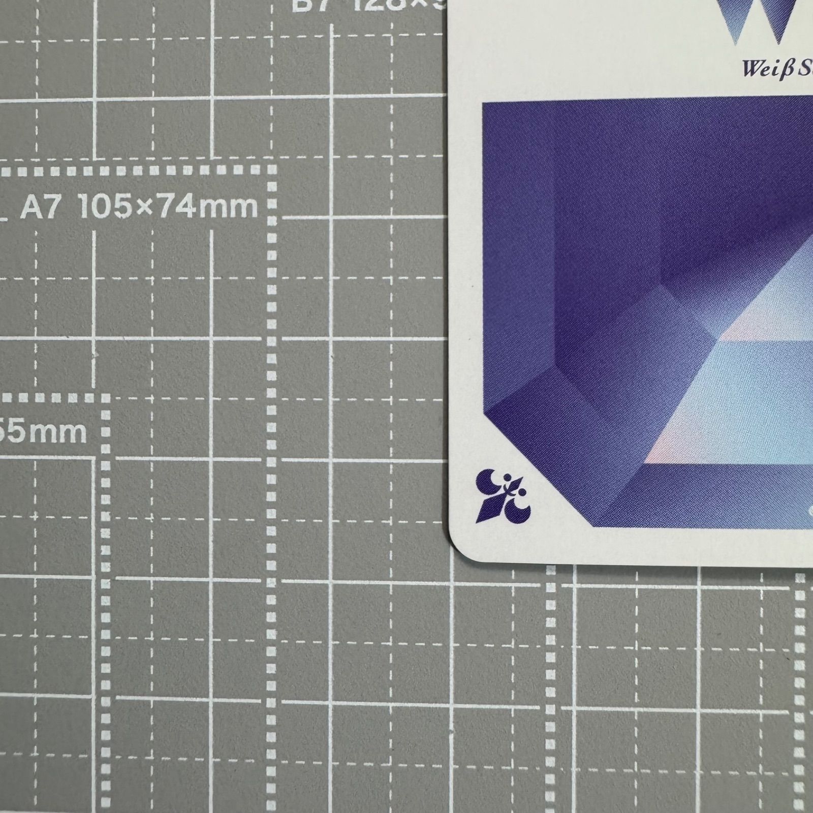 ヴァイスシュバルツブラウ　ボンゴレの雲　雲雀 恭弥　sp リボーン 雲の守護者 雲雀 恭弥 価格相場(値段)・最安値(ヴァイス