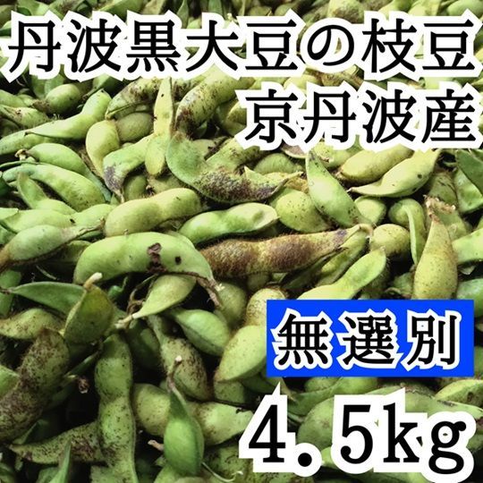 訳アリ 4.5kg 無選別 丹波黒大豆 黒豆の枝豆 京丹波産 黒枝豆 アサイファーム えだまめ