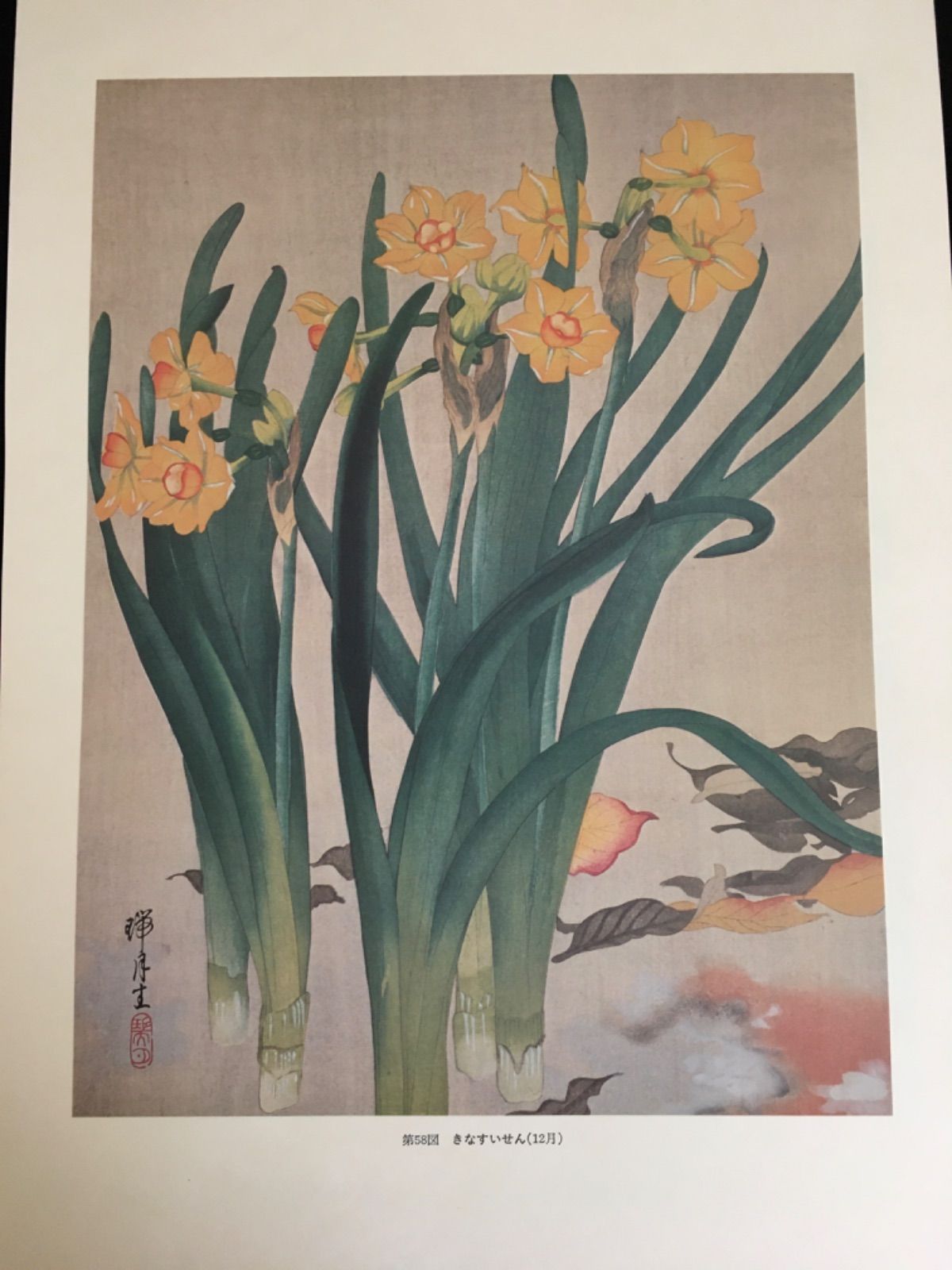 瑞月草花画譜 - メルカリ