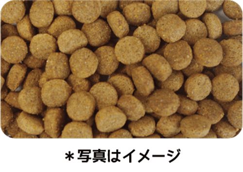 アダルト 6kg×4袋