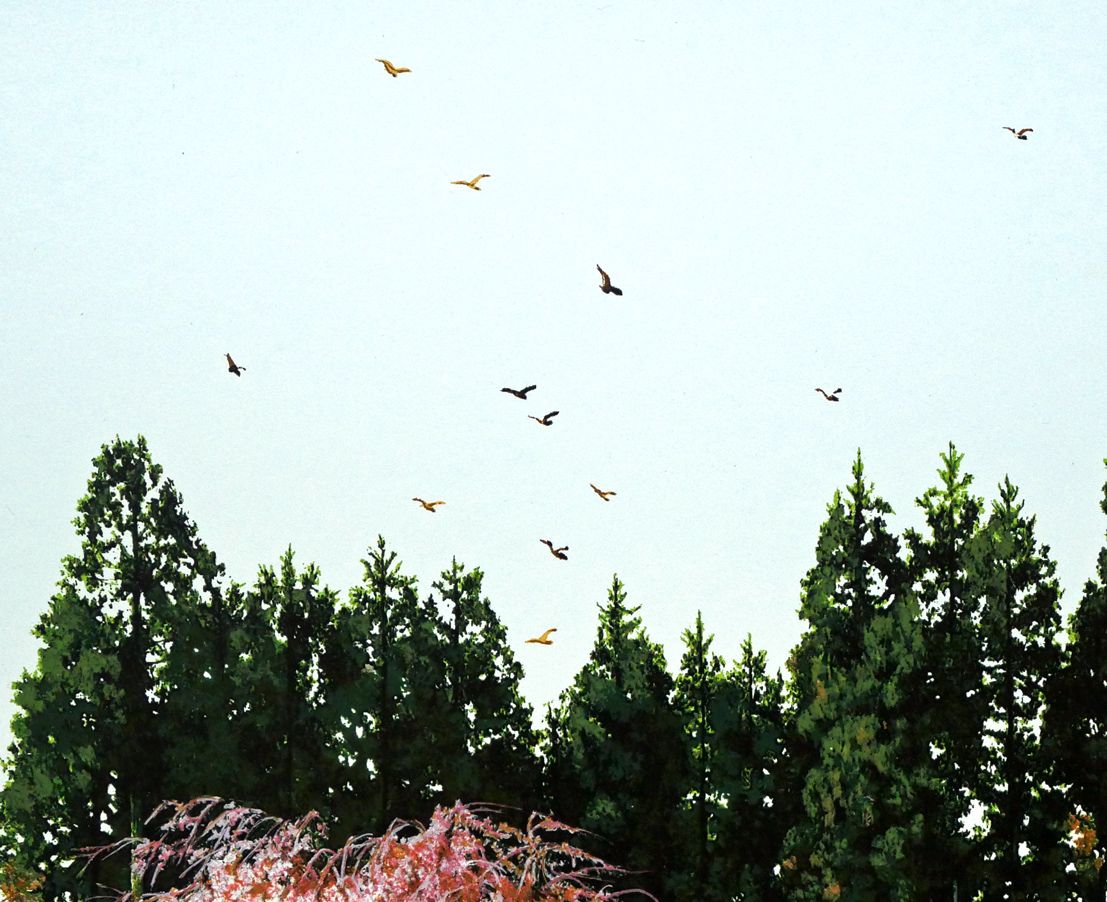 山形 博導（ヒロ ヤマガタ）「日本のエッセンス 龍安寺」シルク