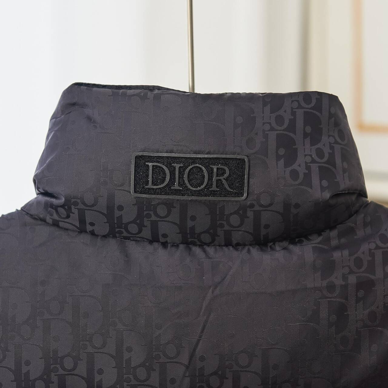 【新品未使用】DIOR    ディオール   ダウンベスト   男女同型