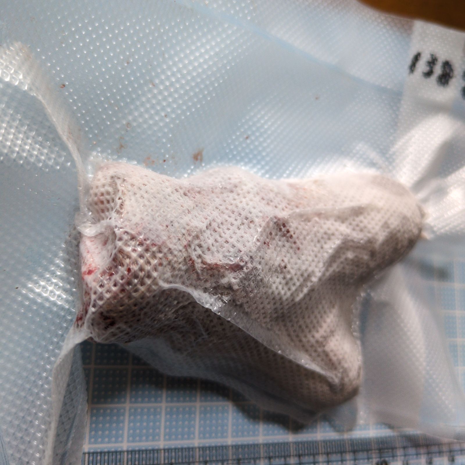  001 袋角 鹿茸 小さめ まとめて約999グラム エゾシカ その他 犬用品