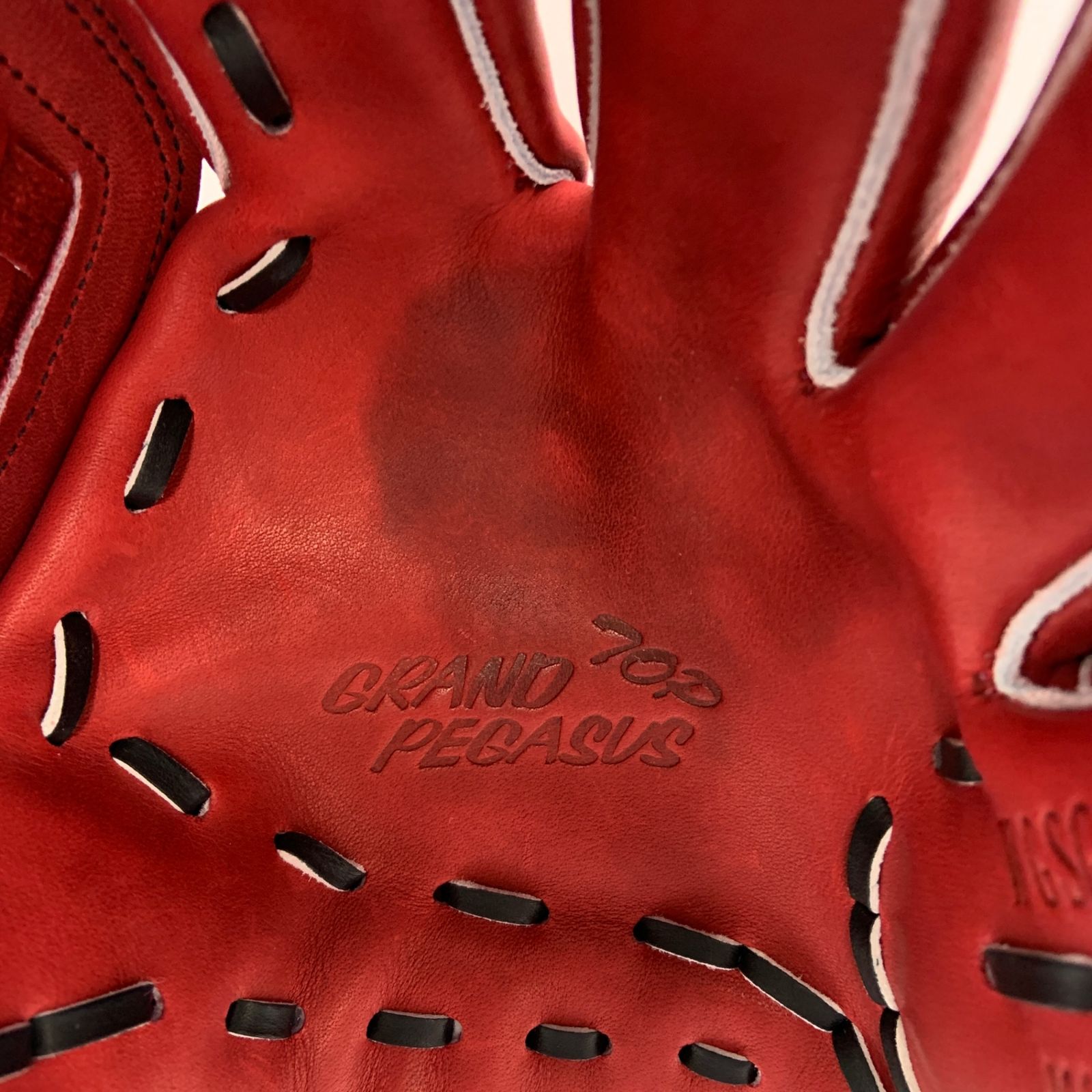 ワールドペガサス WORLD PEGASUS GRANDPEGASUS ソフトボール用 大人 一般 オールラウンド グローブ グラブ 右投げ WGSGPT651 野球 6547 LLC-HASEGAWATOSO_COM