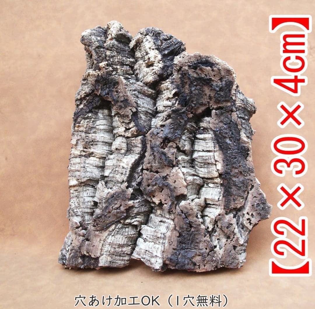 D332 ポルトガル産 厚め コルク樹皮 コルク板 バージンコルク