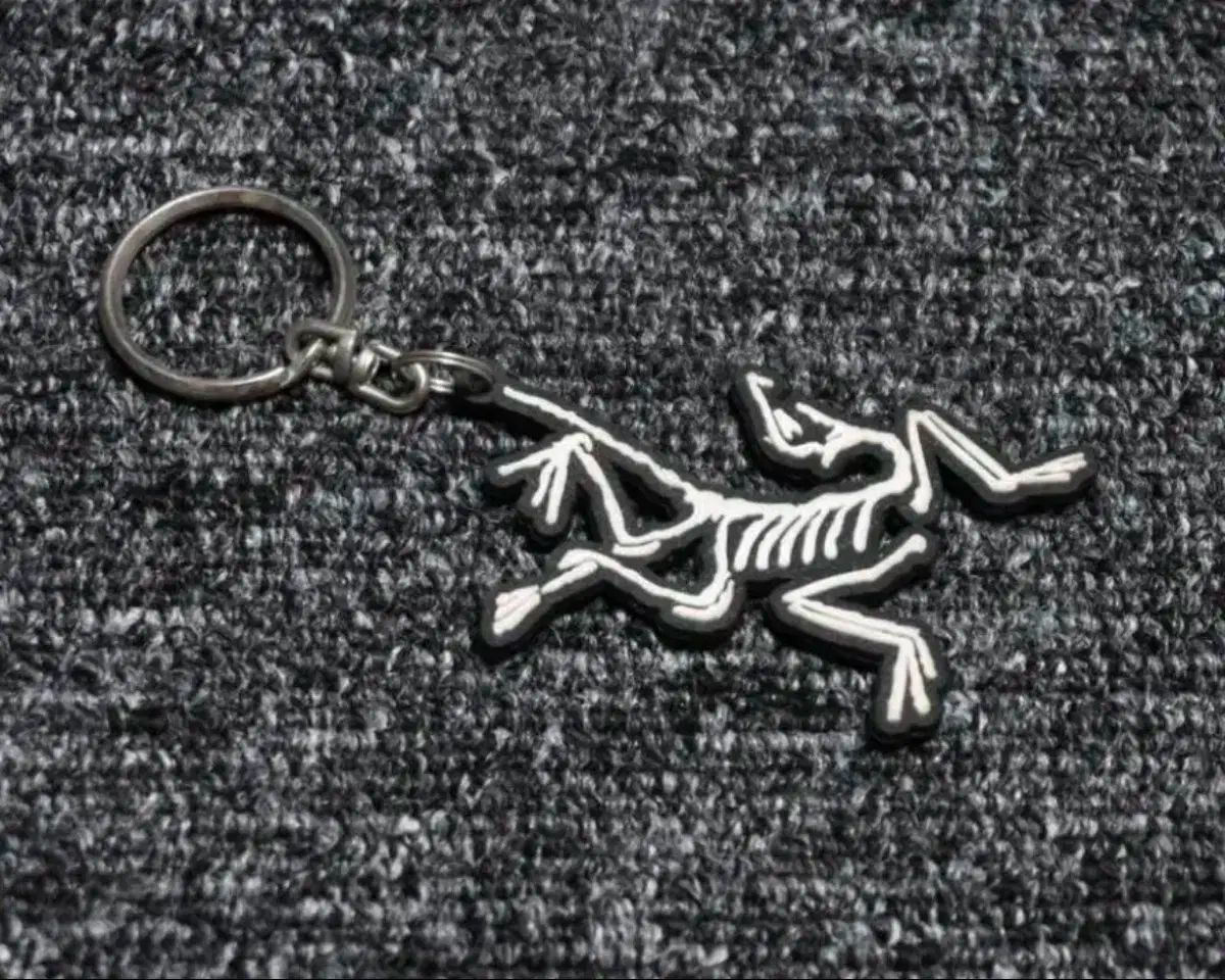 OS ） Arc'teryx（アークテリクス) キーリング - メルカリ