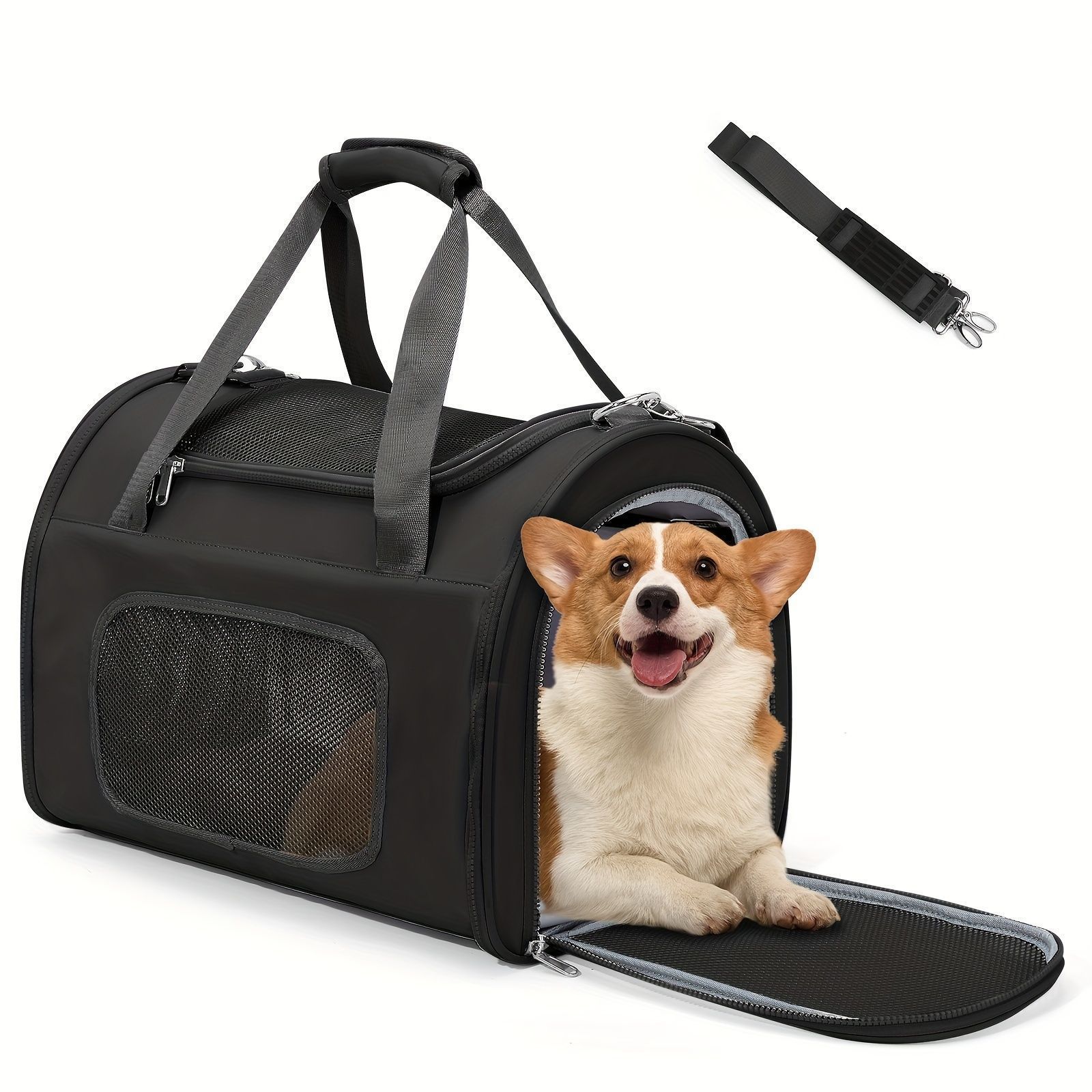 犬