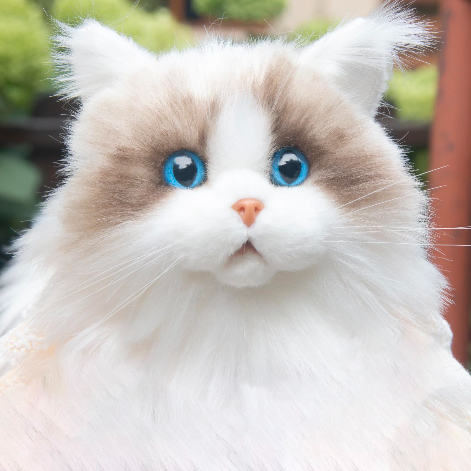 在庫セールChongker 猫ぬいぐるみ リアルな猫ぬいぐるみ 子供用