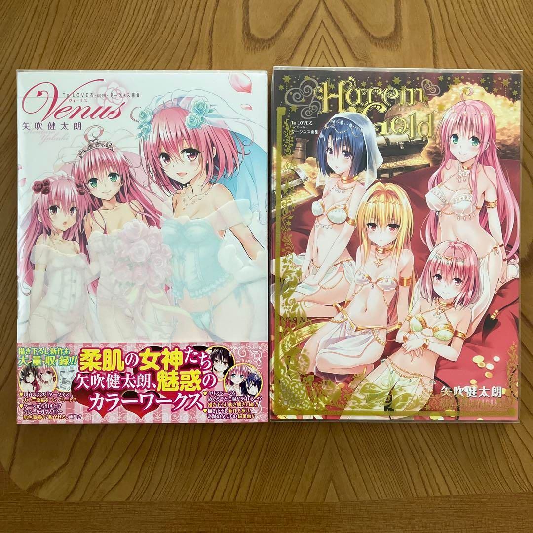 To LOVEる-とらぶる-ダークネス画集 2冊セット To LOVEる-とらぶる-ダークネス画集 2冊セット - メルカリ