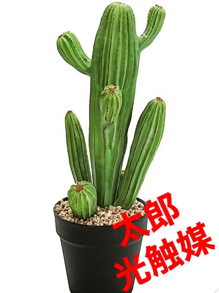 光触媒