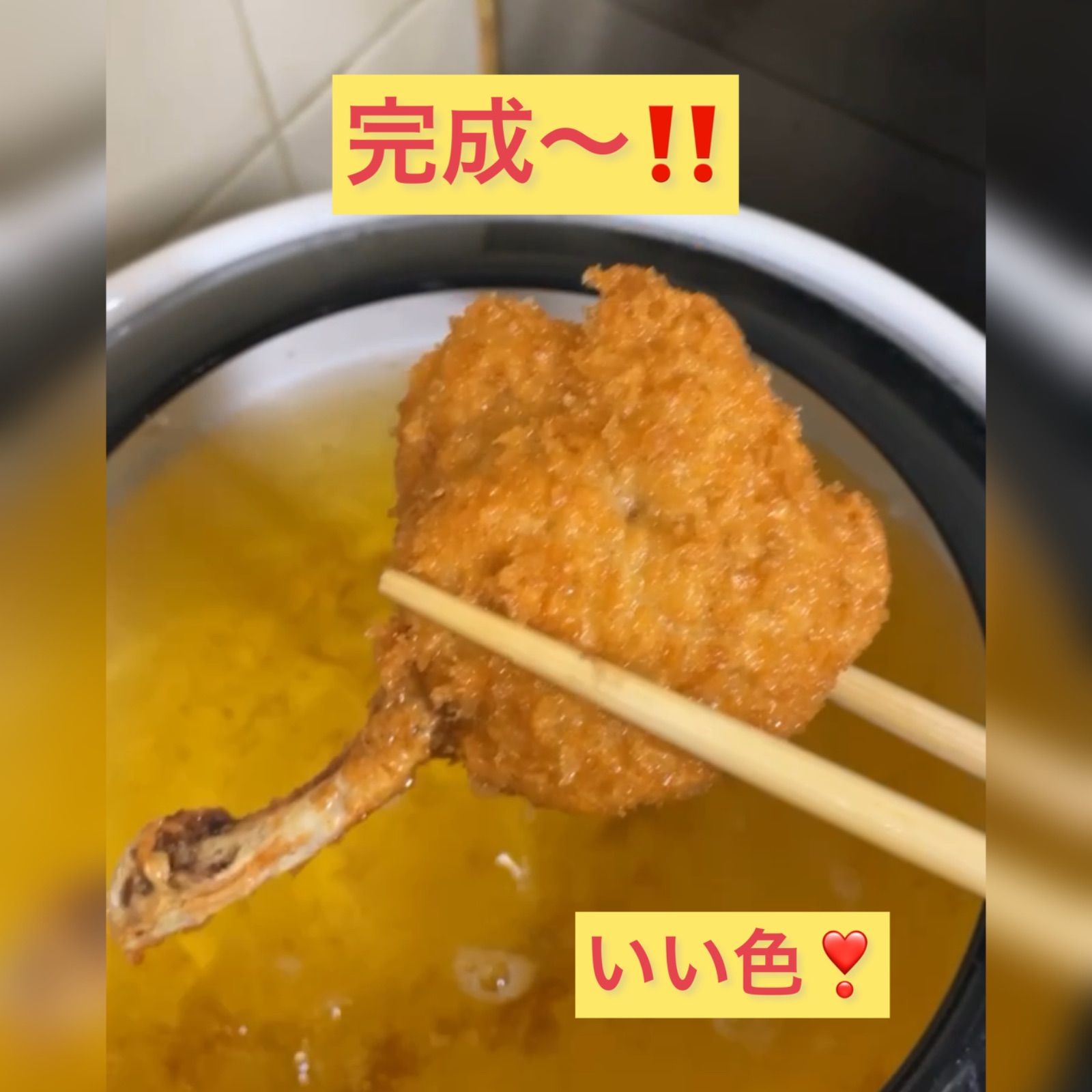 ?高知県米ヶ岡鶏