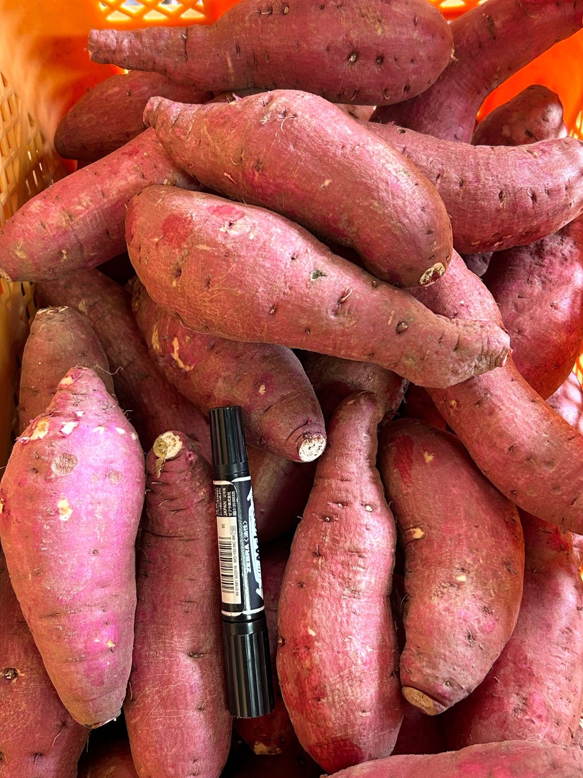 訳ありシルクスイート20kg 専用シルクスイート さつまいも 訳あり L