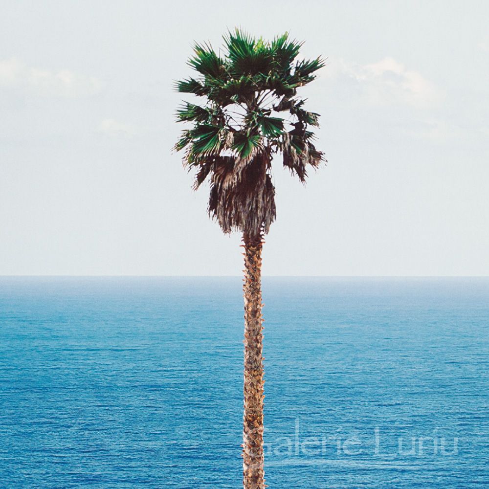 ジョン・バルデッサリ 展覧会用ポスター「Palm tree/seascape」 - メルカリ
