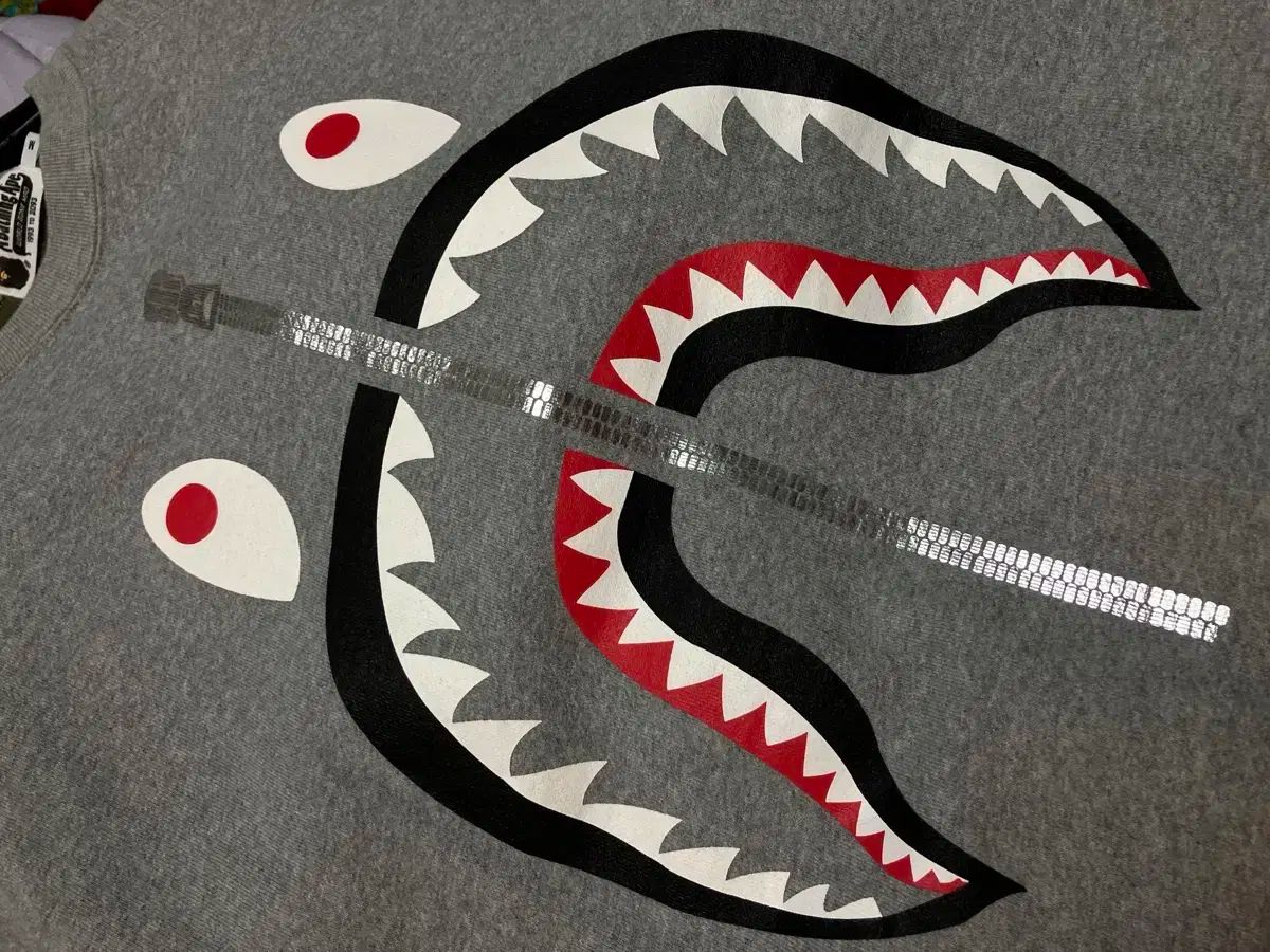シャーク