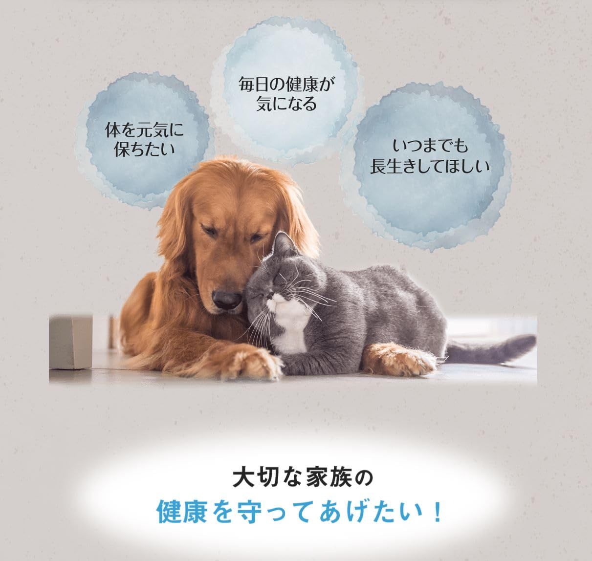 RENATUS(レナトス)ST 犬用サプリメント 5袋セット 【公式通販】