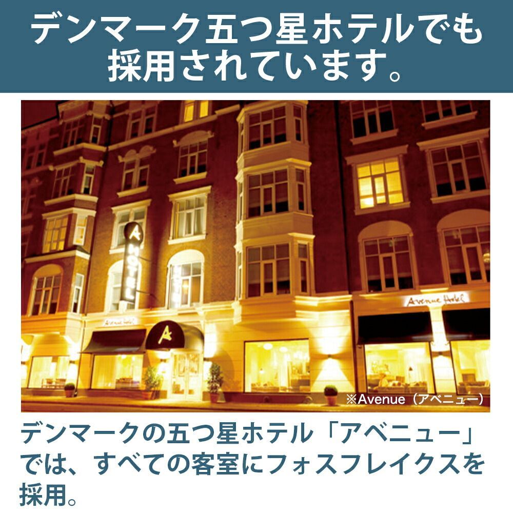 フォスフレイクスピロー ハーフボディ枕 クラシック MARWIL-DEMENAGEMENTS_CH