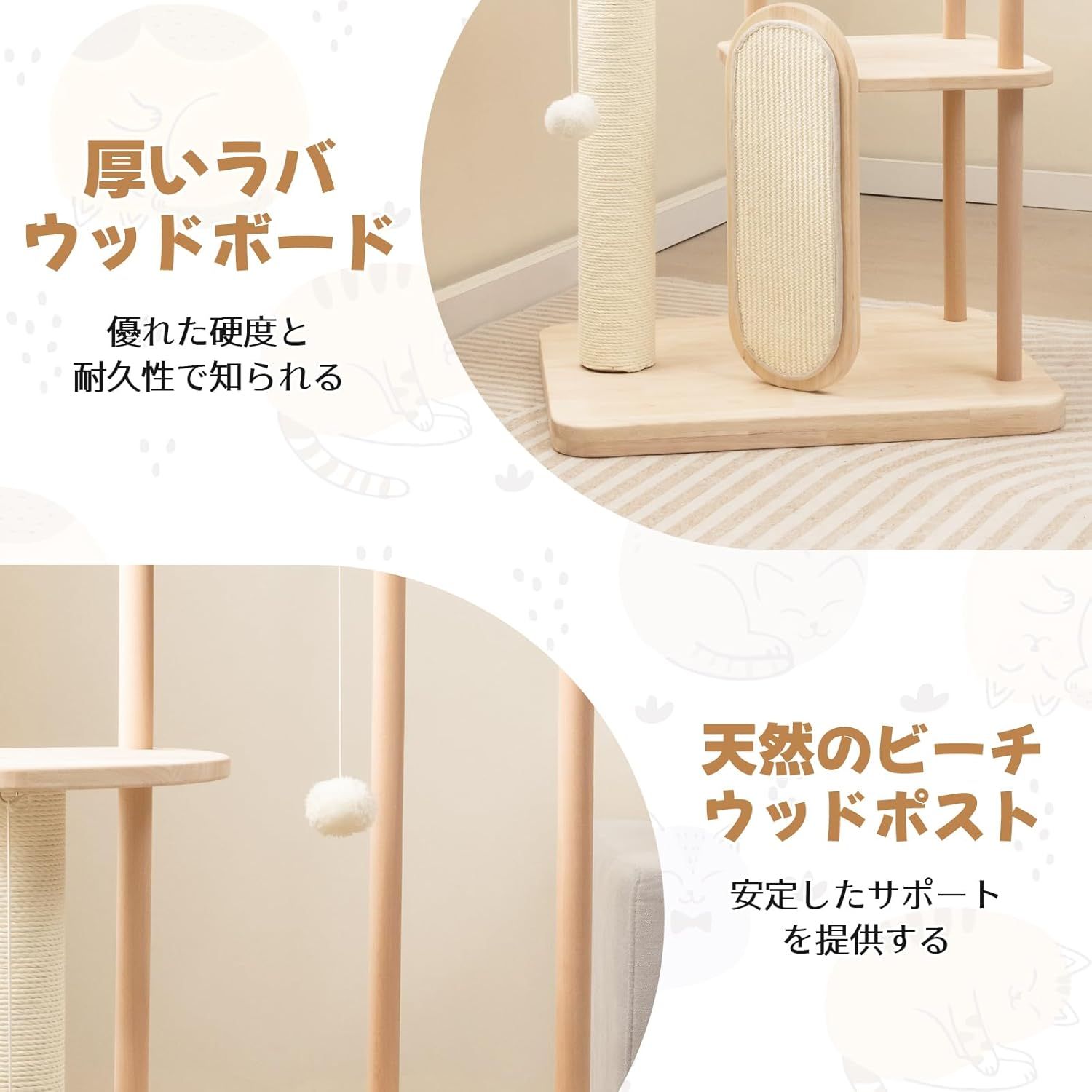 多頭飼い 大型猫