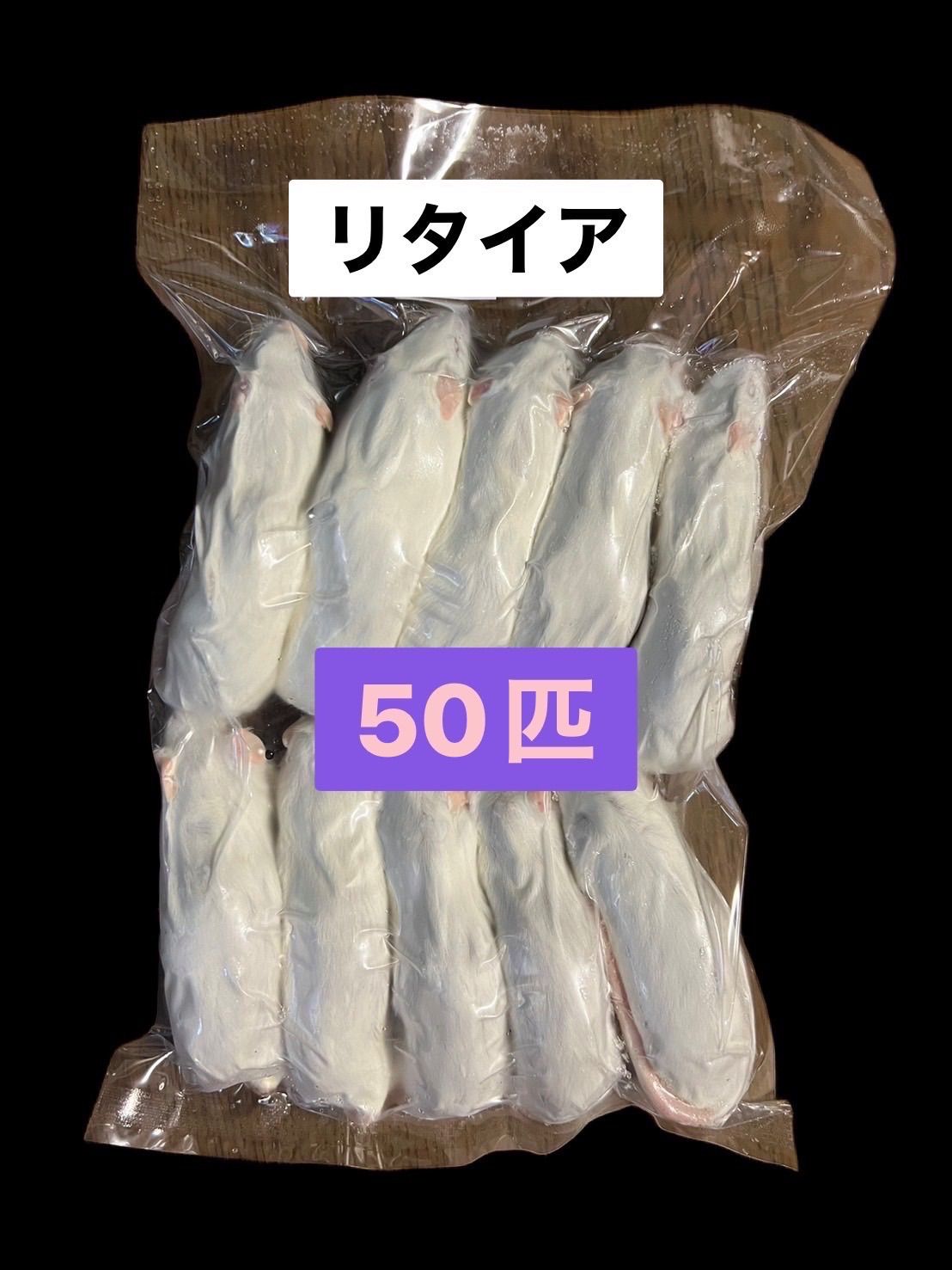 国産冷凍リタイアマウス 50匹 み 同梱可