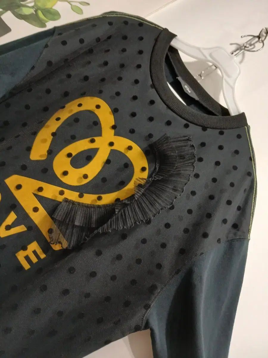 シースルーポイント ONE