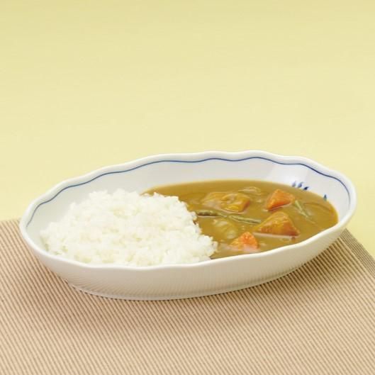 カールスバードのカレー皿 カールスバード ブルーオニオン (Carlsbad Blue Onion) カレー皿
