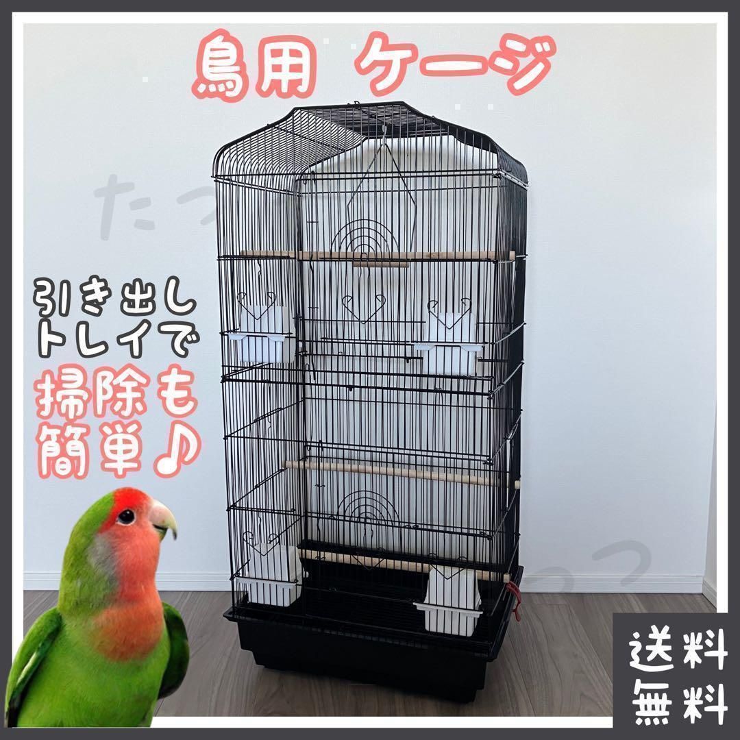 鳥 ケージ 黒 ブランコ・止まり木付(□鳥かご□バード(インコ
