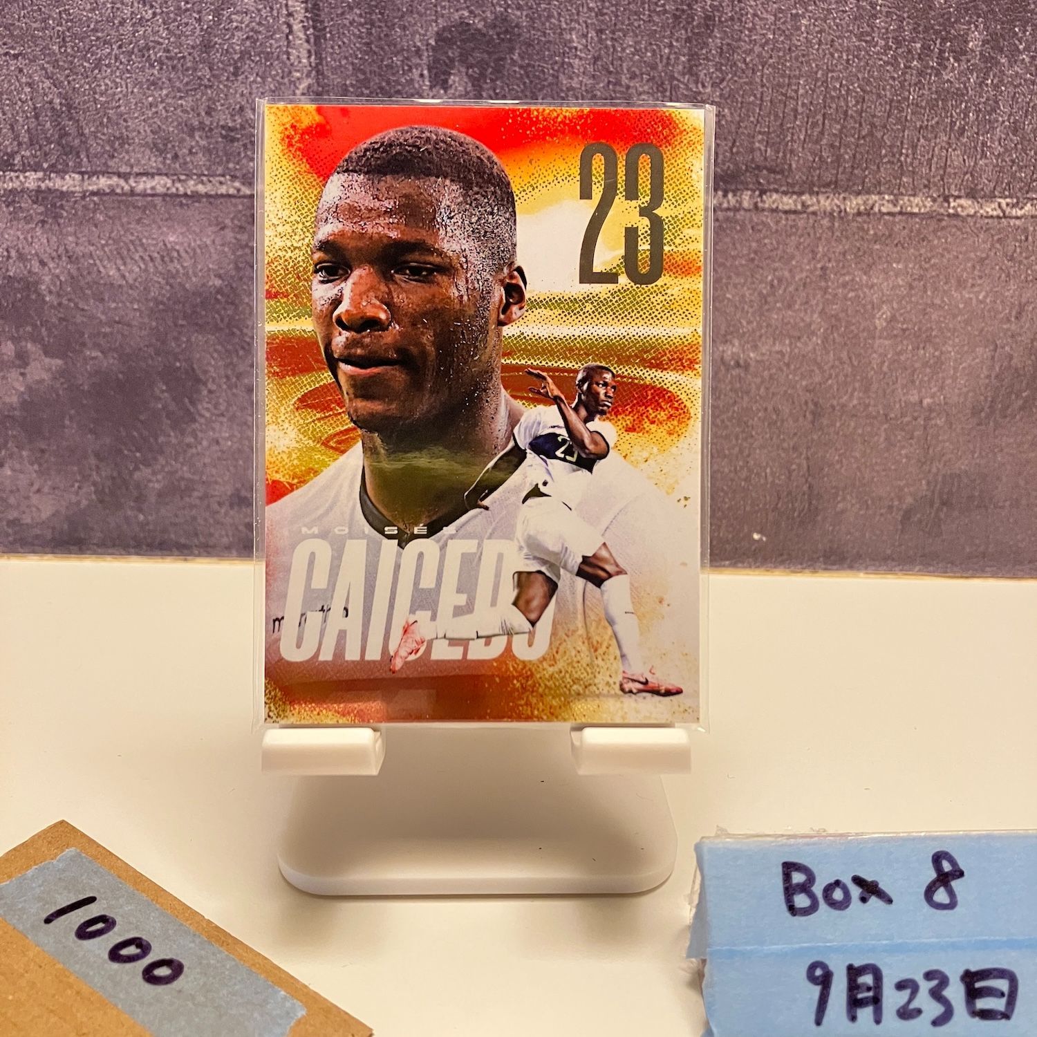 2025 Futera FX Moises Caicedo 41/63 Chelsea Limited Edition カード