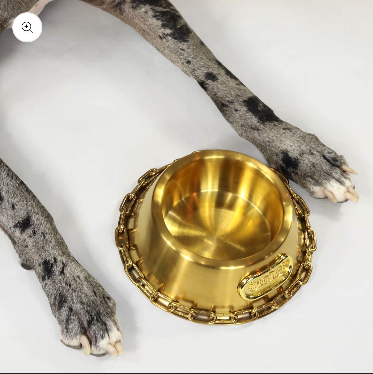 猫 金のお皿