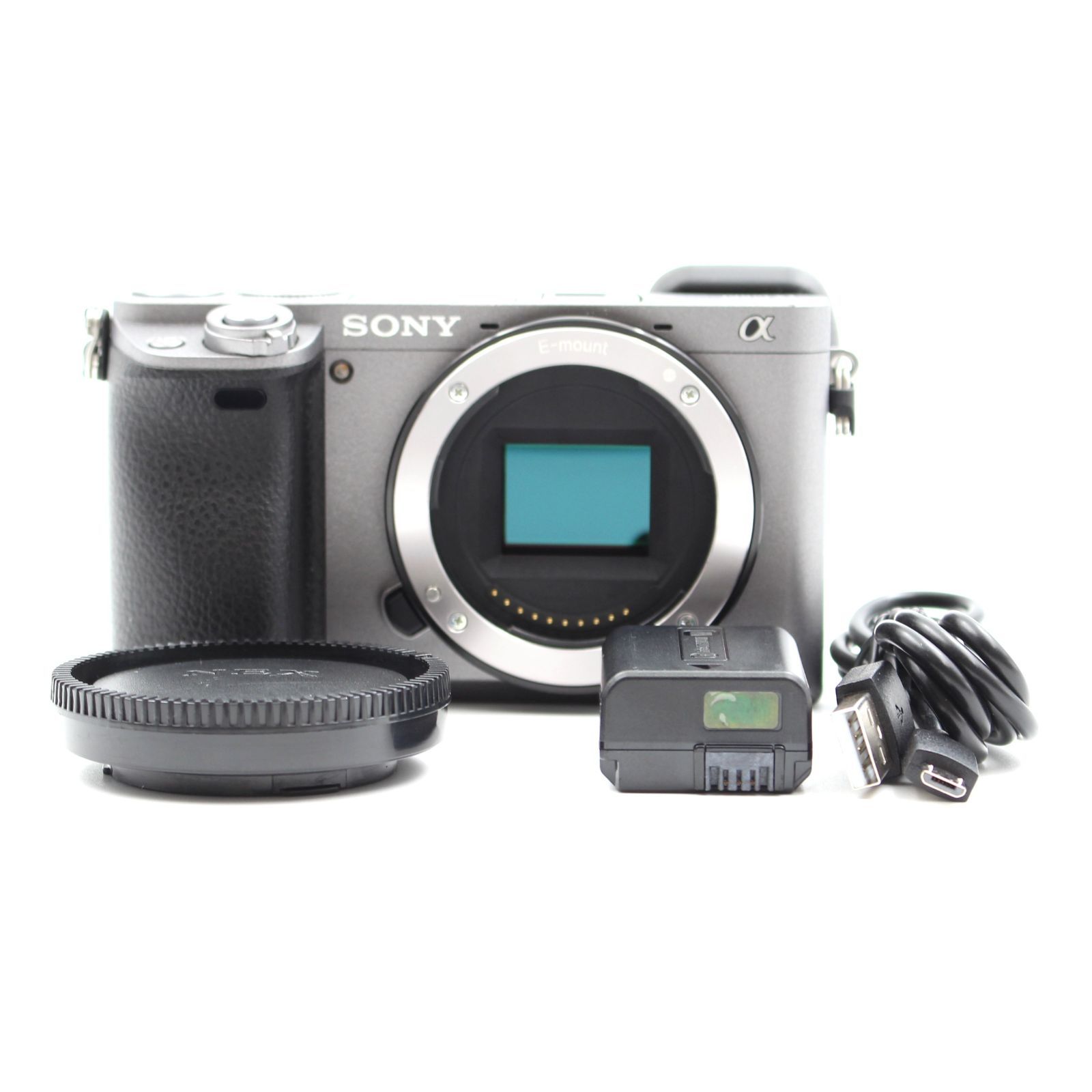 SONY α6000 ミラーレス一眼カメラ 【公式通販】
