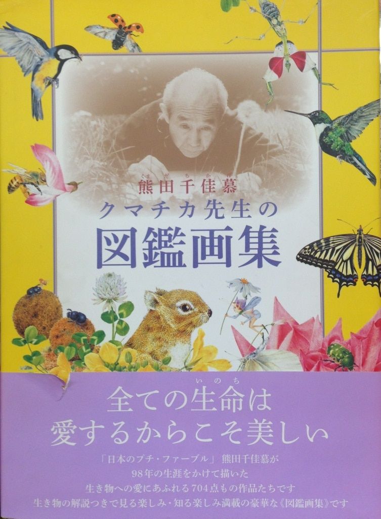 熊田千佳慕　クマチカ先生図鑑画集 熊田千佳慕 | クマチカ先生の図鑑画集 - ノースブックセンター