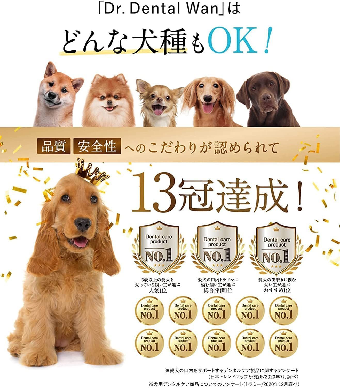 ドクターデンタルワン 犬