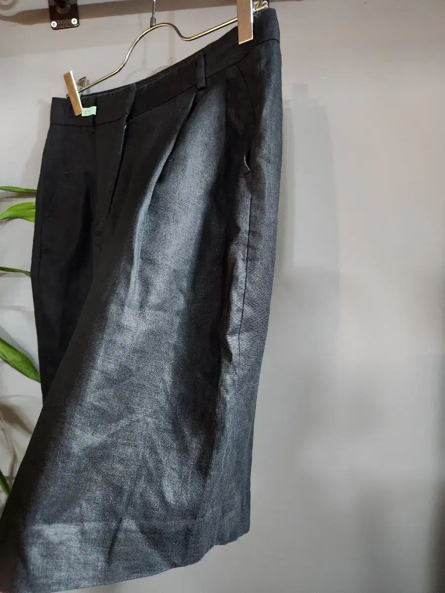 マックスマーラ 55