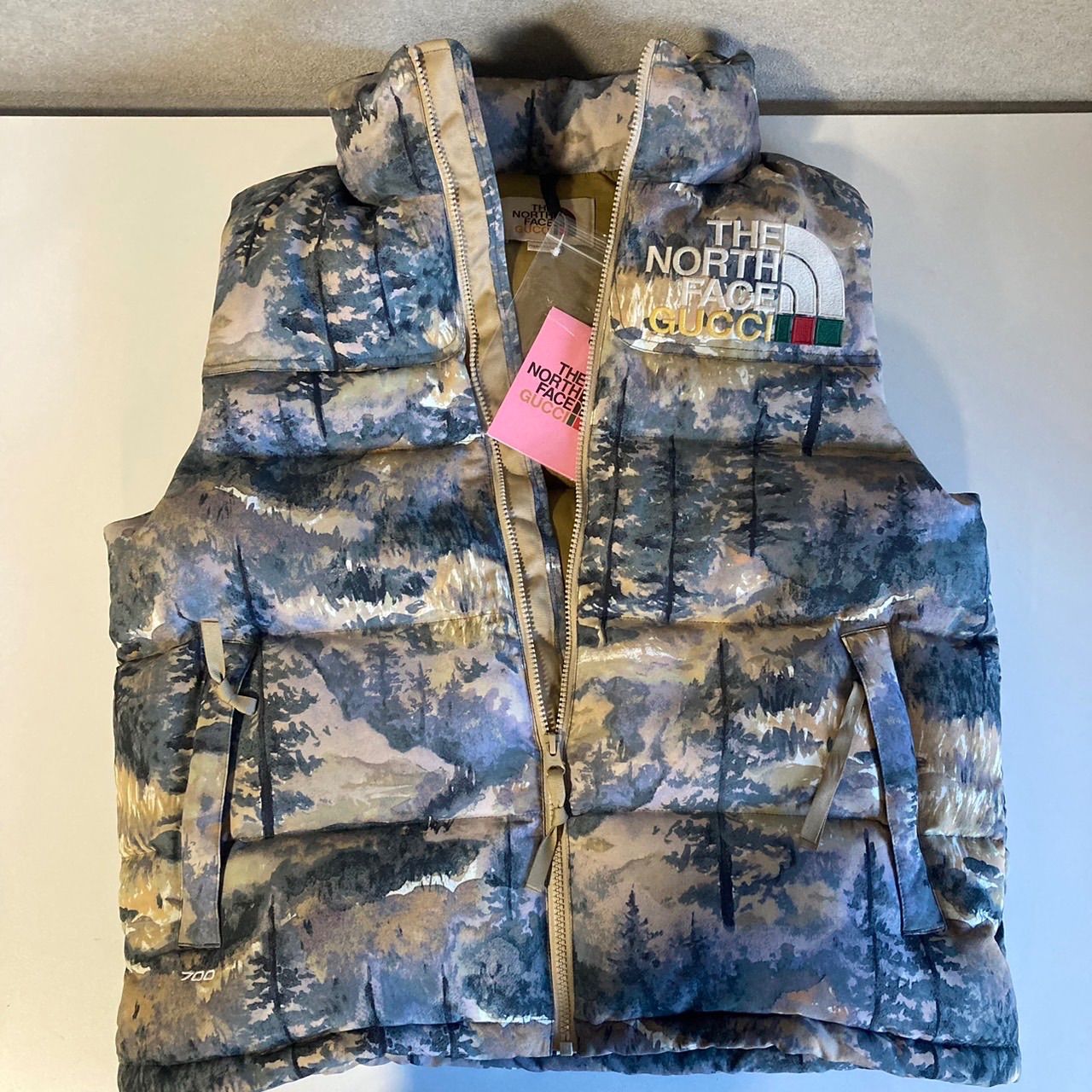 極美品 定価20.9万】GUCCI × THE NORTH FACE 即完売 グッチ×ザノース 